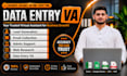 do data entry VA, email collection, web research and admin support task