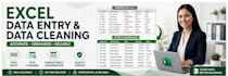 clean, organise and enter data in excel spreadsheets