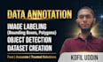 do professional image annotation and video data annotation for ai