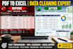 do excel data entry, data cleaning, and word document formatting