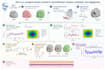 do molecular docking and MD simulation with manuscript