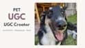 create dog ugc ads and product photos