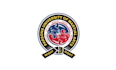 design strong powerful martial arts logo
