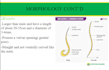 create professional powerpoint design