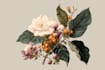 design best botanical illustration