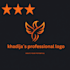 design a  professional logo