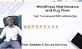 fix wordpress bugs, errors and layout issues fast