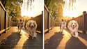 ai photo style conversion