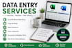 do accurate data entry and data processing