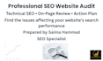 do a complete SEO website audit with an action plan