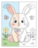 create coloring book pages and coloring books for children