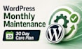 maintain your wordpress website, 30 day care plan