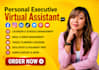 ghl virtual assistant executive virtual assistant carousel insta reel data entry