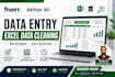 do excel data entry, cleaning, web research, dynamic dashboard