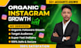 grow your instagram id with a professional growth strategy