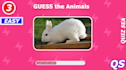 create quiz, trivia questions youtube videos