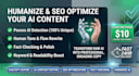 humanize, edit and SEO optimize your ai content