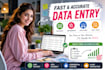 do data entry, web research, data typing and copy paste