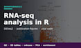 do rna seq differential expression analysis in r with deseq2
