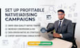 set up profitable native advertising campaigns