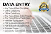 data entry , microsoft excel, microsoft word