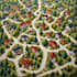 design a professional neighborhood and location map