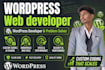 develop website using wordpress as a web developer