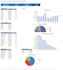 build a professional sales dashboard in excel