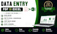 do data entry PDF to excel data cleaning and web research