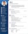 create professional cv resume create
