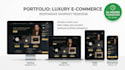 design a modern shopify store or shopify website