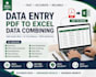 do data entry, PDF to excel conversion and data combining