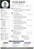 create a professional resume CV design
