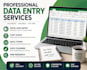 do accurate data entry,copy paste and excell spreadsheet work
