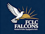 create high quality and beautiful falcon logo design