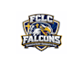 design luxury high quality falcon logo with creative concepts