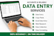 do excel data entry, formatting and spreadsheet cleanup