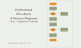 professional flowcharts and process diagrams