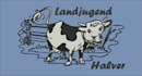 do professional embroidery digitizing