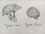 create neat hand drawn biological illustrations