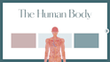 design medical and anatomy canva presentations