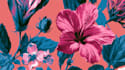 make detailed botanical art and plant illustrations