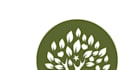 provide modern different tree logo design
