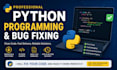 write, debug and fix python programs