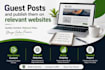 write SEO guest posts and publish them on relevant websites