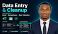 do data entry, cleanup, and formatting in excel