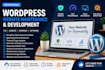 built a modern, responsive and professional websites
