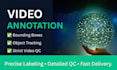do professional video annotation and video quality check for ai training