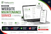 website maintenance for your website
