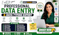 be your professional im worker data typist and data entry assistant